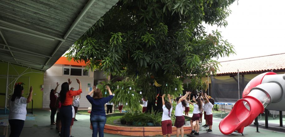 Crianças se despedem de mangueira do CDI